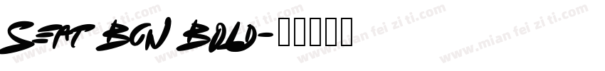 Seat Bcn Bold字体转换